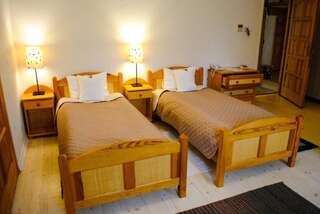 Отель Hotel Krak Мысленице Двухместный номер с 2 отдельными кроватями-29